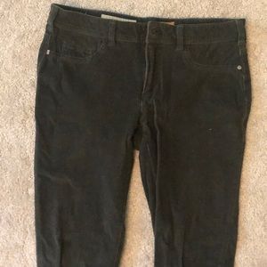 Olive corduroy skinny pant,Pilcro (anthro) size 27
